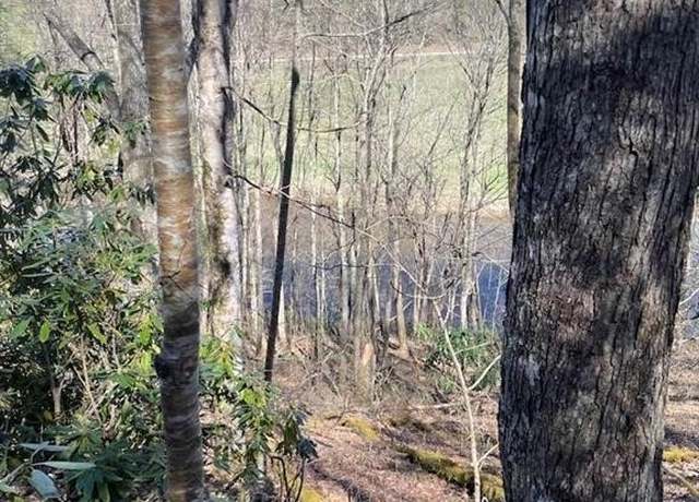 Property at TBD Spruce Ln, Crumpler, NC 28617