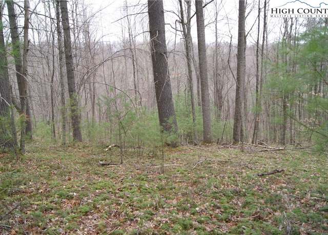 Property at Lot 69 Laurel Mountain Dr, Sparta, NC 28675