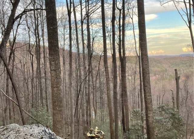 Property at 48 Wildcat Wilderness Pkwy, Deep Gap, NC 28618