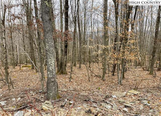 Property at 222 Wild Daisy Lane Ln, Beech Mountain, NC 28604