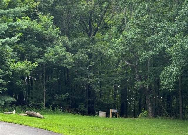 Property at TBD Ivy Ridge Rd, Deep Gap, NC 28618