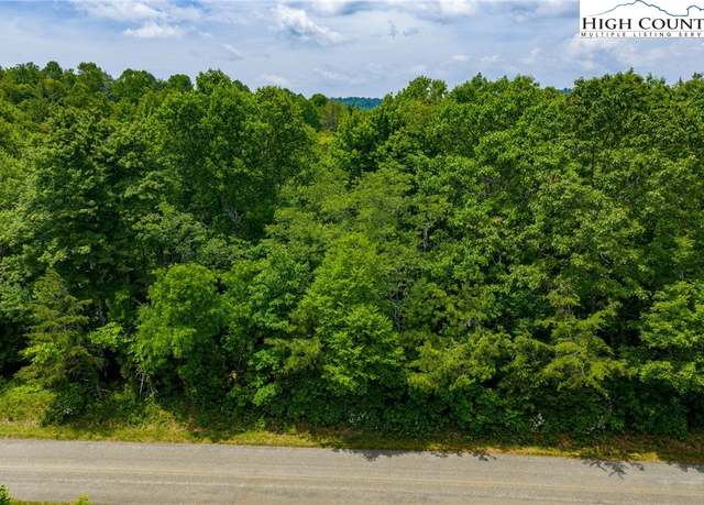 Property at TBD Air Bellows Gap Rd #5, Sparta, NC 28675