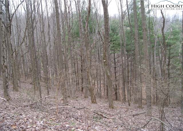 Property at Lot 61 Forest Hill Dr, Sparta, NC 28675