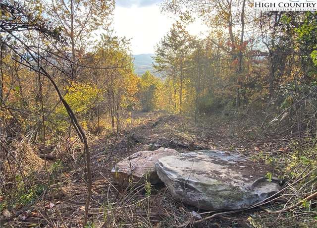 Property at Lot 58 Toms Knob Rd, Sparta, NC 28675