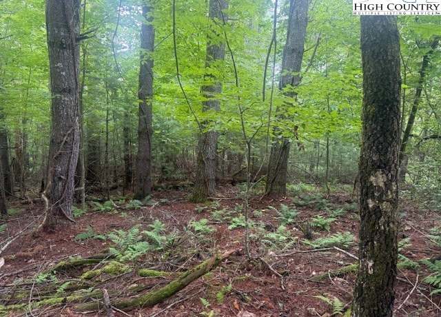 Property at TBD Beaver Creek Dr, West Jefferson, NC 28694
