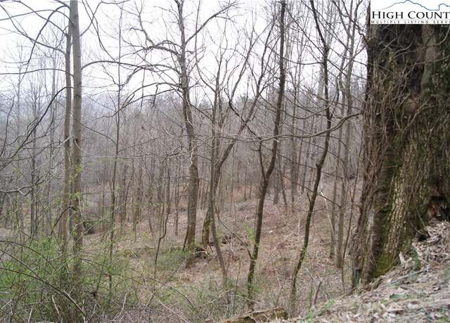 Property at Lot 57 Toms Knob Rd, Sparta, NC 28675