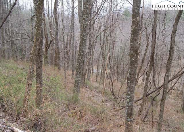 Property at Lot 56 Toms Knob Rd, Sparta, NC 28675