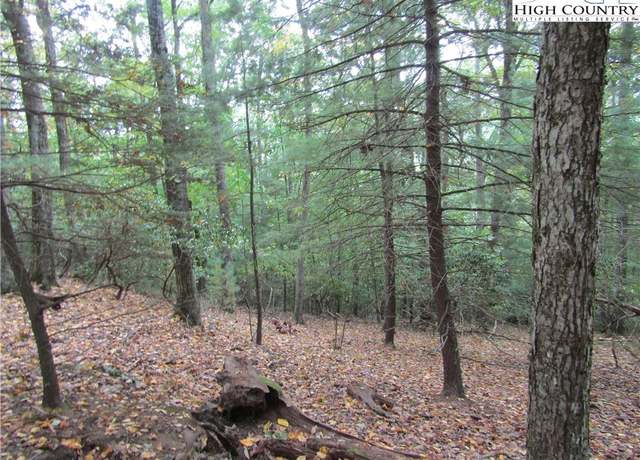 Property at TBD Jobs Rd, Laurel Springs, NC 28644