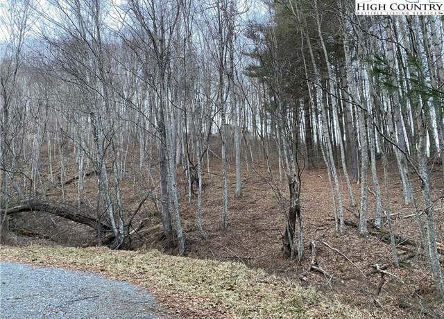 Property at Lot 55 Laurel Mountain Dr, Sparta, NC 28675