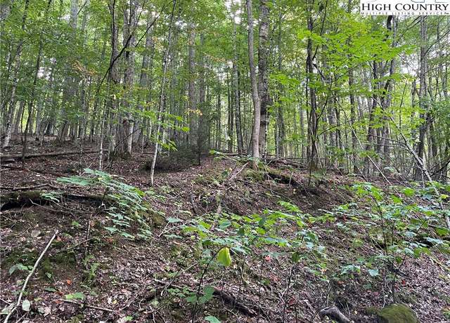 Property at 126 Arrowhead Road Rd, Beech Mountain, NC 28604