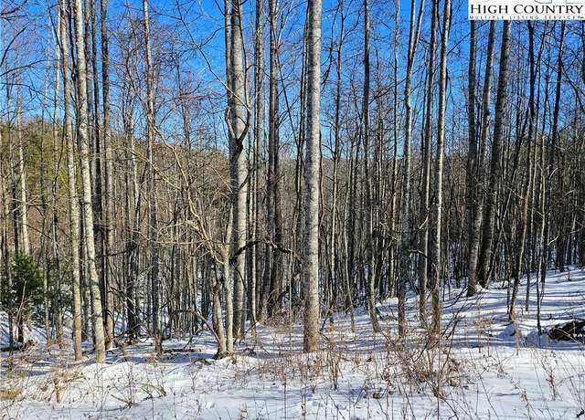 Property at Lot 21 Eagles Landing Dr, Crumpler, NC 28617