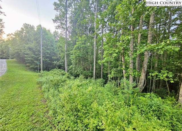 Property at Lot 21 Eagles Landing Dr, Crumpler, NC 28617
