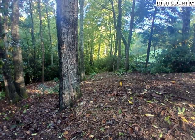 Property at 59 Woodpecker Ln, Newland, NC 28657