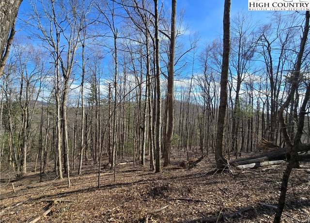 Property at TBD Parkway Estates Rd, Laurel Springs, NC 28644