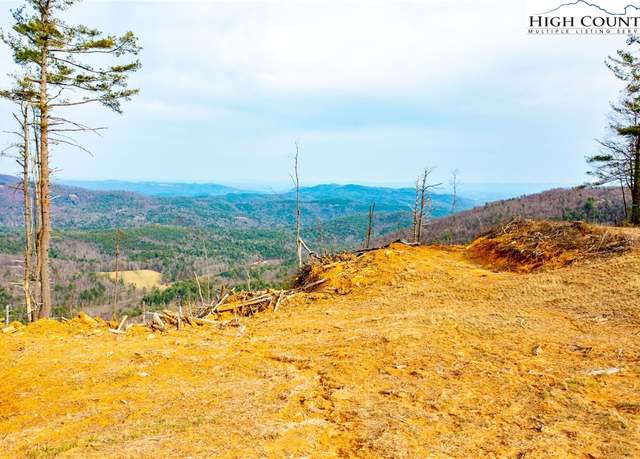 Property at TBD Phillips Gap, Purlear, NC 28665