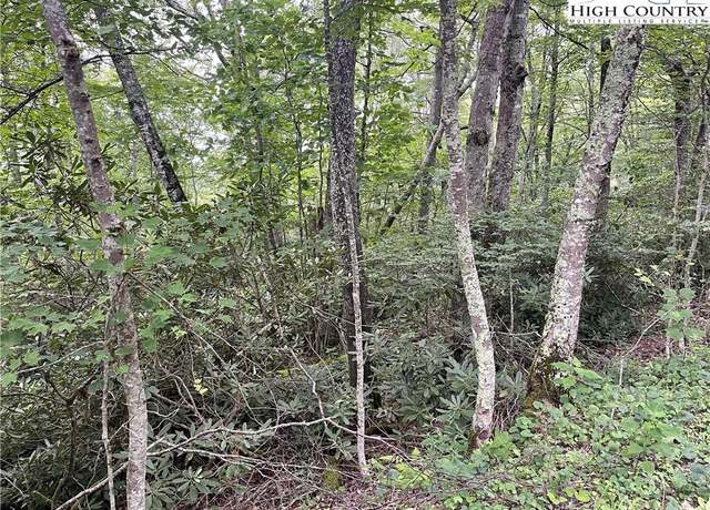 Property at TBD Snow Ridge Rd, Banner Elk, NC 28604