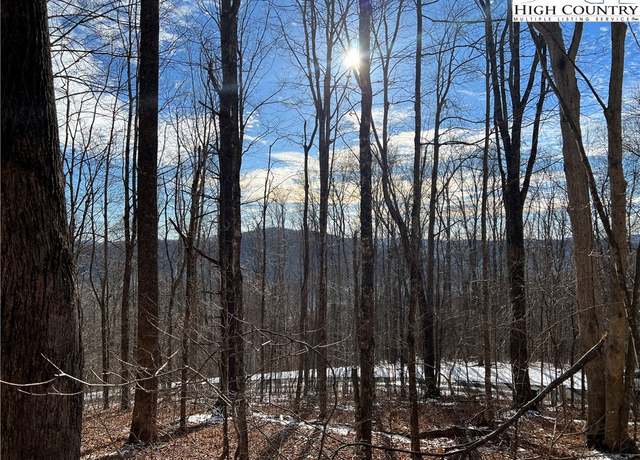 Property at Lot 60 Elk Creek Mountain Pkwy, Todd, NC 28684