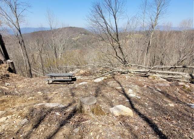 Property at 159 W Blueberry Ln, Beech Mountain, NC 28604