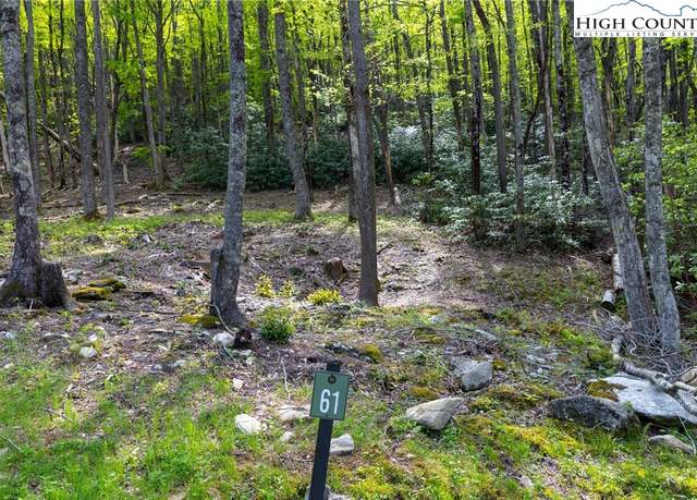 Property at Lot 61 Wildcat Wilderness Pkwy, Deep Gap, NC 28618