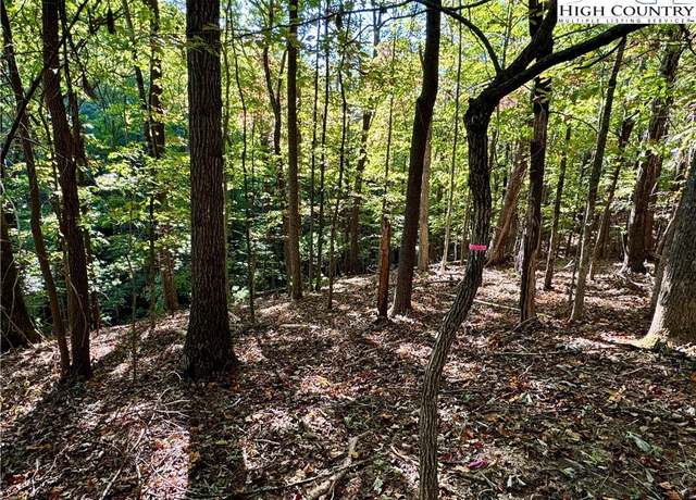 Property at TBD Penny Ln, Deep Gap, NC 28618