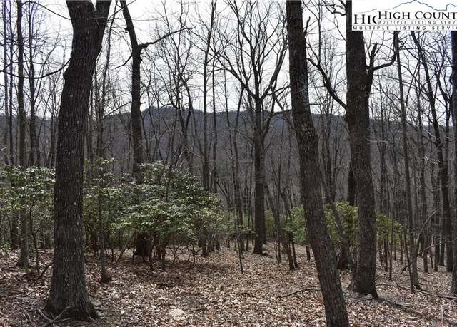 Property at TBD Prathers Creek Rd, Sparta, NC 28675