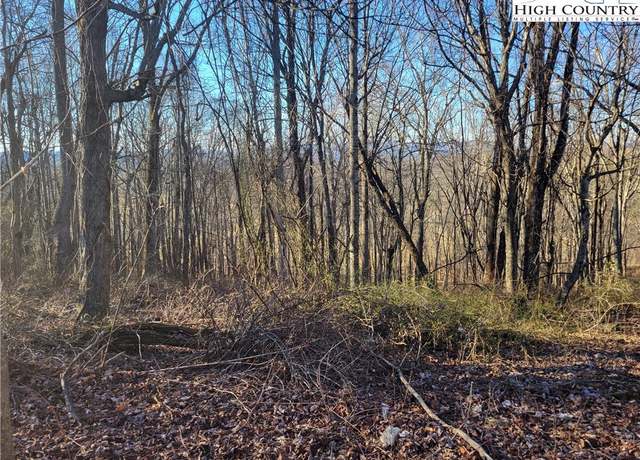 Property at Lot 19 Terra Vista Dr, Laurel Springs, NC 28644