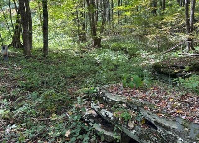 Property at Lot 36 Beechwood Cir, Creston, NC 28615