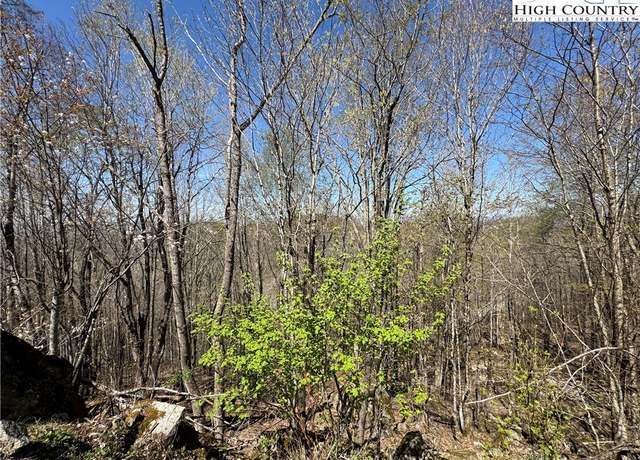 Property at 137 and 139 W Blueberry Ln, Beech Mountain, NC 28604