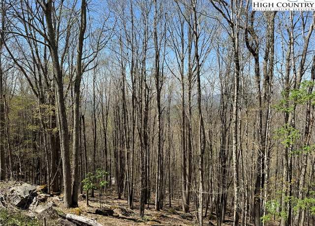 Property at 141 and 143 W Blueberry Ln, Beech Mountain, NC 28604