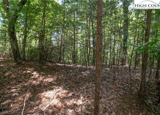 Property at Lot 88 Woodpecker Rd, Purlear, NC 28665
