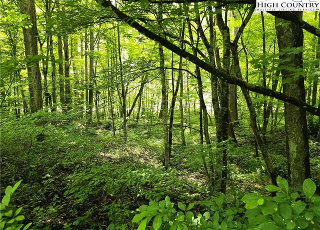 Property at 3455 W Mill Creek Rd, Warrensville, NC 28693