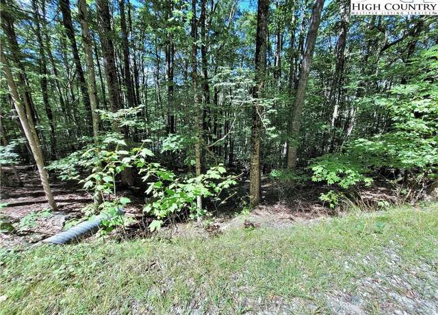Property at 118 S Hickory Ln, Beech Mountain, NC 28604