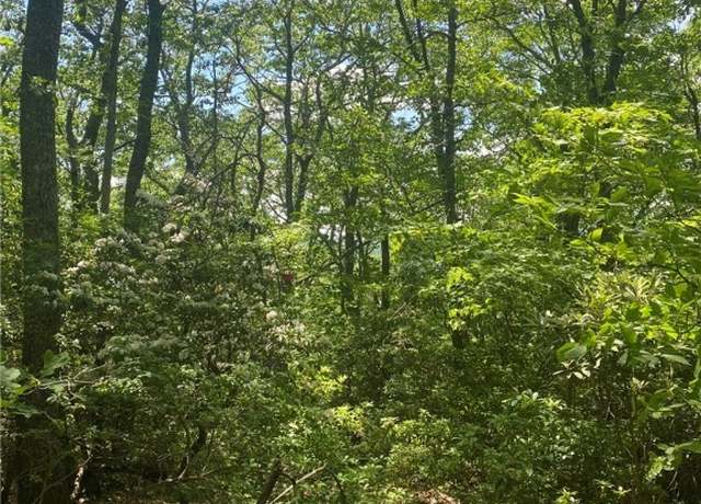 Property at TBD East Mill Creek Rd, Todd, NC 28684