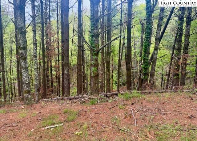 Property at Lot 25 Davis Acres Dr, West Jefferson, NC 28694