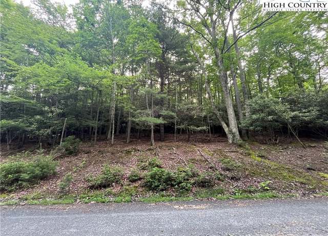 Property at 262 Poplar Rd And 106 Cedar Ln, Beech Mountain, NC 28604