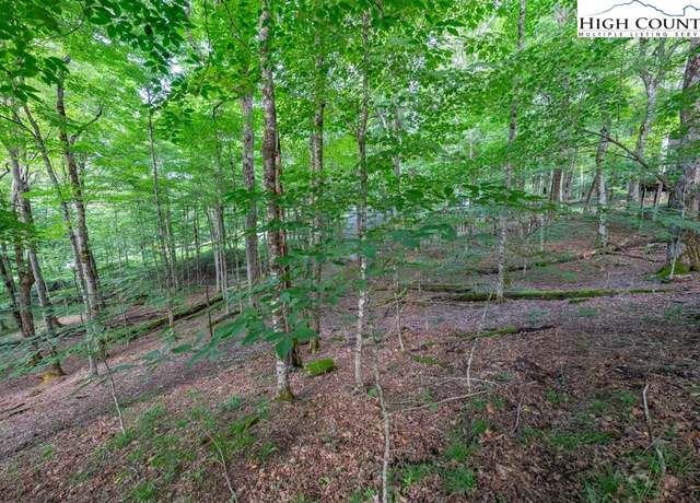 Property at 907 Charter Hills Rd, Beech Mountain, NC 28604