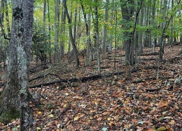 Property at 108 Black Birch Ln, Beech Mountain, NC 28604