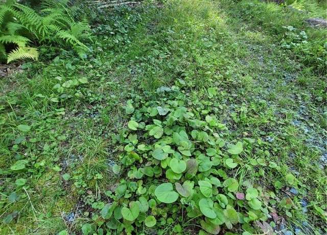 Property at 106 Woodridge Rd, Beech Mountain, NC 28604