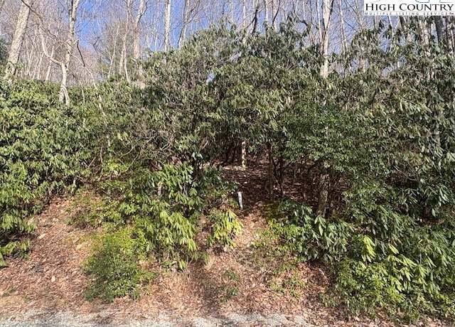 Property at 293 Poplar Dr, Beech Mountain, NC 28604