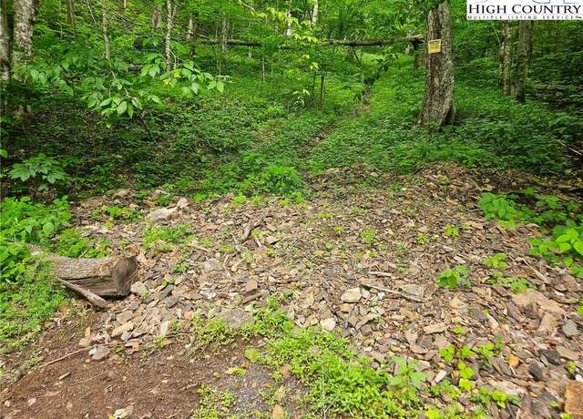 Property at TBD Cow Camp Rd, Newland, NC 28657