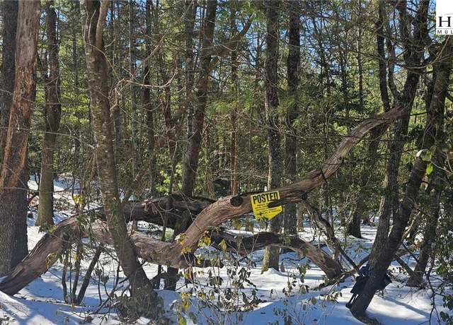 Property at TBD Little Creek Rd, Sparta, NC 28675