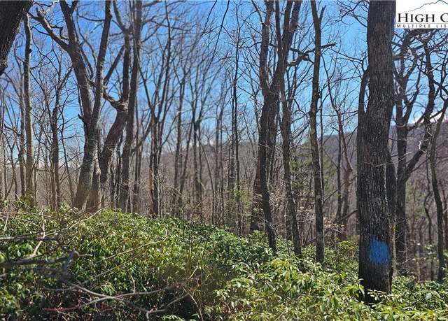 Property at TBD D&d Ridge Rd, Todd, NC 28684