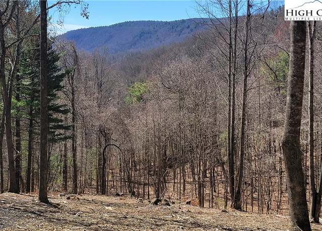 Property at Lot 2 Phillips Gap Rd, Purlear, NC 28665