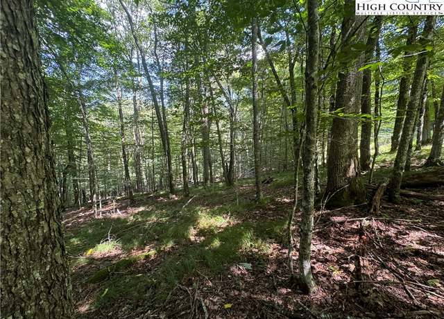 Property at 217 Sawmill Branch Rd, Beech Mountain, NC 28604