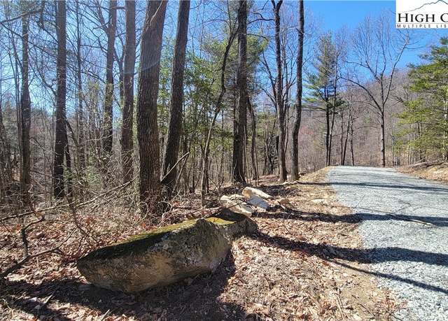 Property at Lot 3 Phillips Gap Rd, Purlear, NC 28665