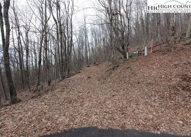 Property at TBD Maple Tree Ln, West Jefferson, NC 28694