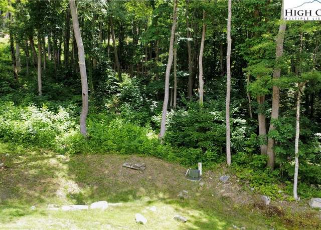 Property at C-52 Fire Fly Cv, Banner Elk, NC 28604