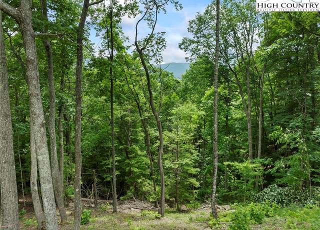 Property at WR44 6964 Beech Mountain Rd, Elk Park, NC 28622