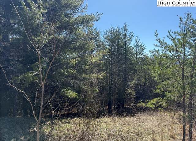 Property at Lot 3 Alta Vista Ln, Sparta, NC 28675