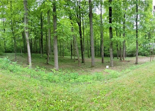 Property at Lot 14 Elk Creek Mountain Pkwy, Todd, NC 28684